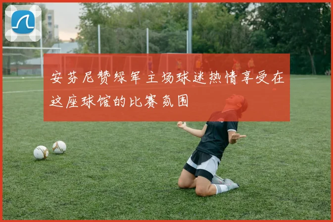 安芬尼赞绿军主场球迷热情享受在这座球馆的比赛氛围