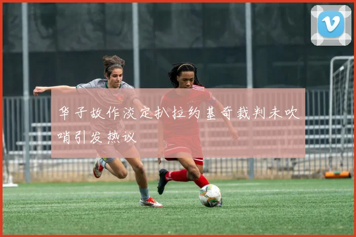 华子故作淡定扒拉约基奇裁判未吹哨引发热议