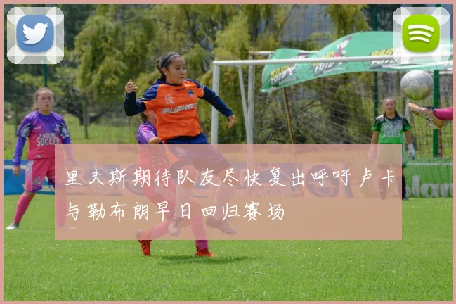 里夫斯期待队友尽快复出呼吁卢卡与勒布朗早日回归赛场