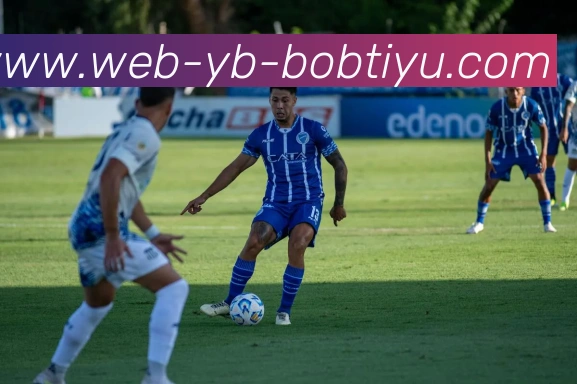 BOB体育发展历程